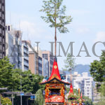 南観音山・後祭20220035